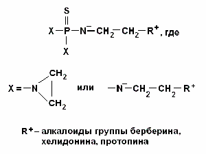 сколько раз в день питаться чтобы похудеть